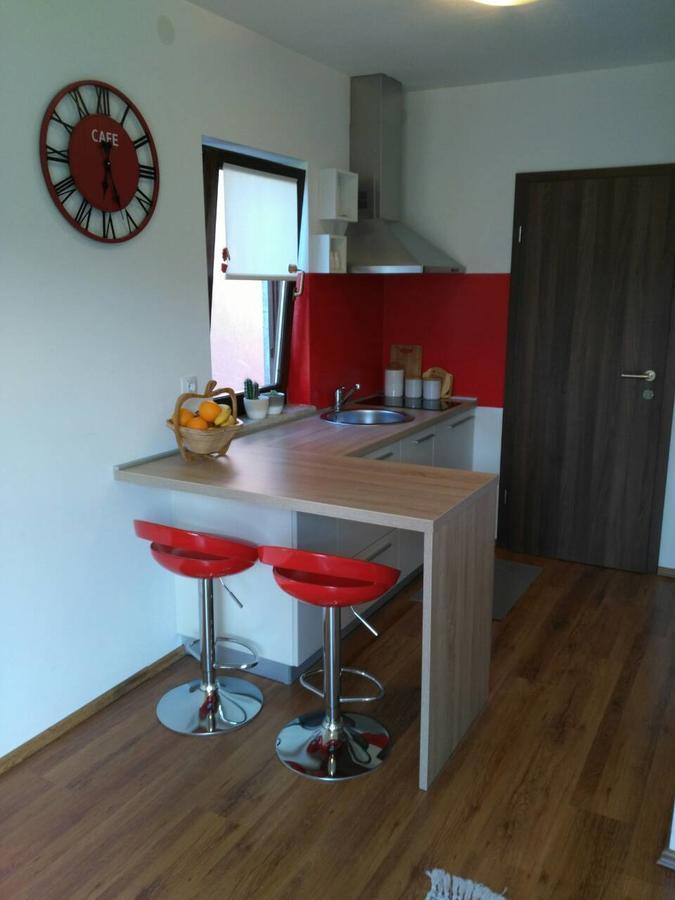 Apartment Bozac 罗维尼 外观 照片