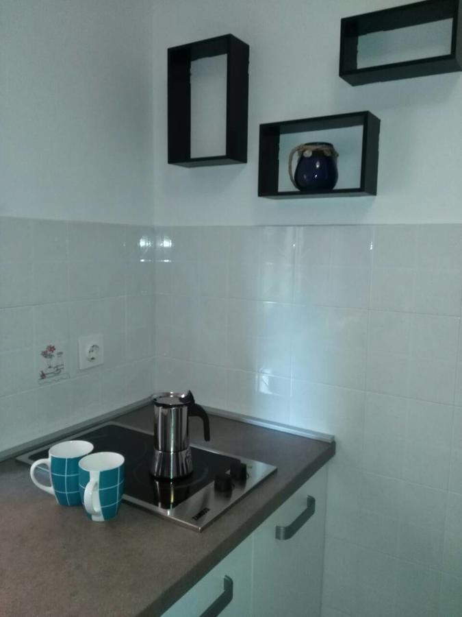 Apartment Bozac 罗维尼 外观 照片